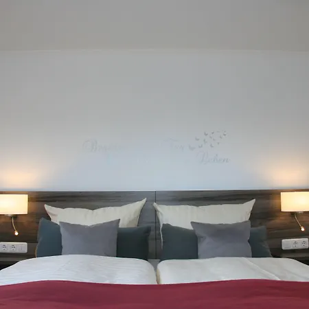 Отель Mein Bergblick 3*