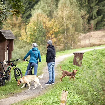 Отель Mein Bergblick Гослар