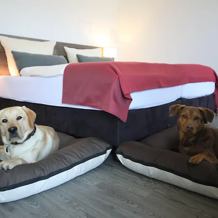 Mein Bergblick Отель 3*