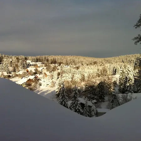 Mein Bergblick Отель
