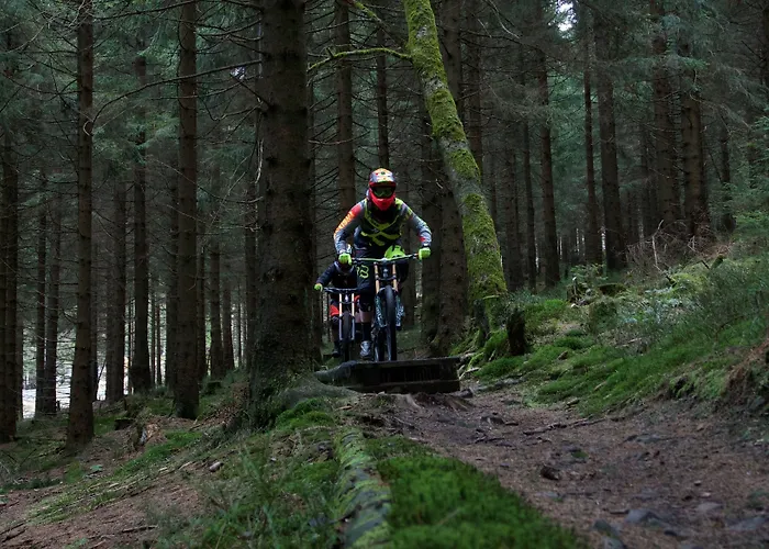 Mein Bergblick Goslar